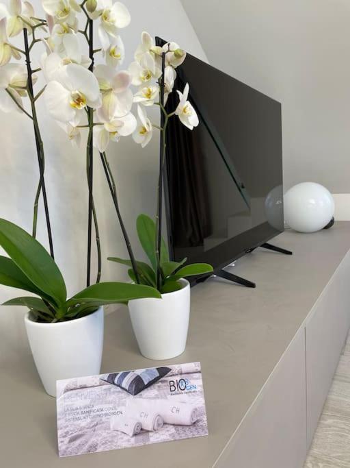 Queen Verona Luxury Apartment Buitenkant foto
